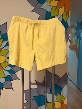 Abercrombie & fitch swim trunks new